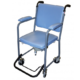 GR 30 - Chaise garde robe